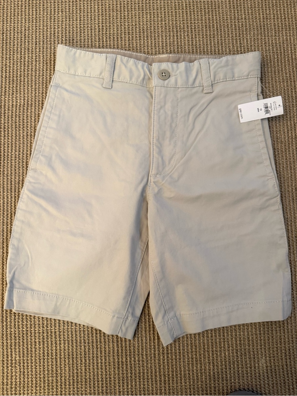Boy’s Classic Flat-Front Shorts in Light Beige